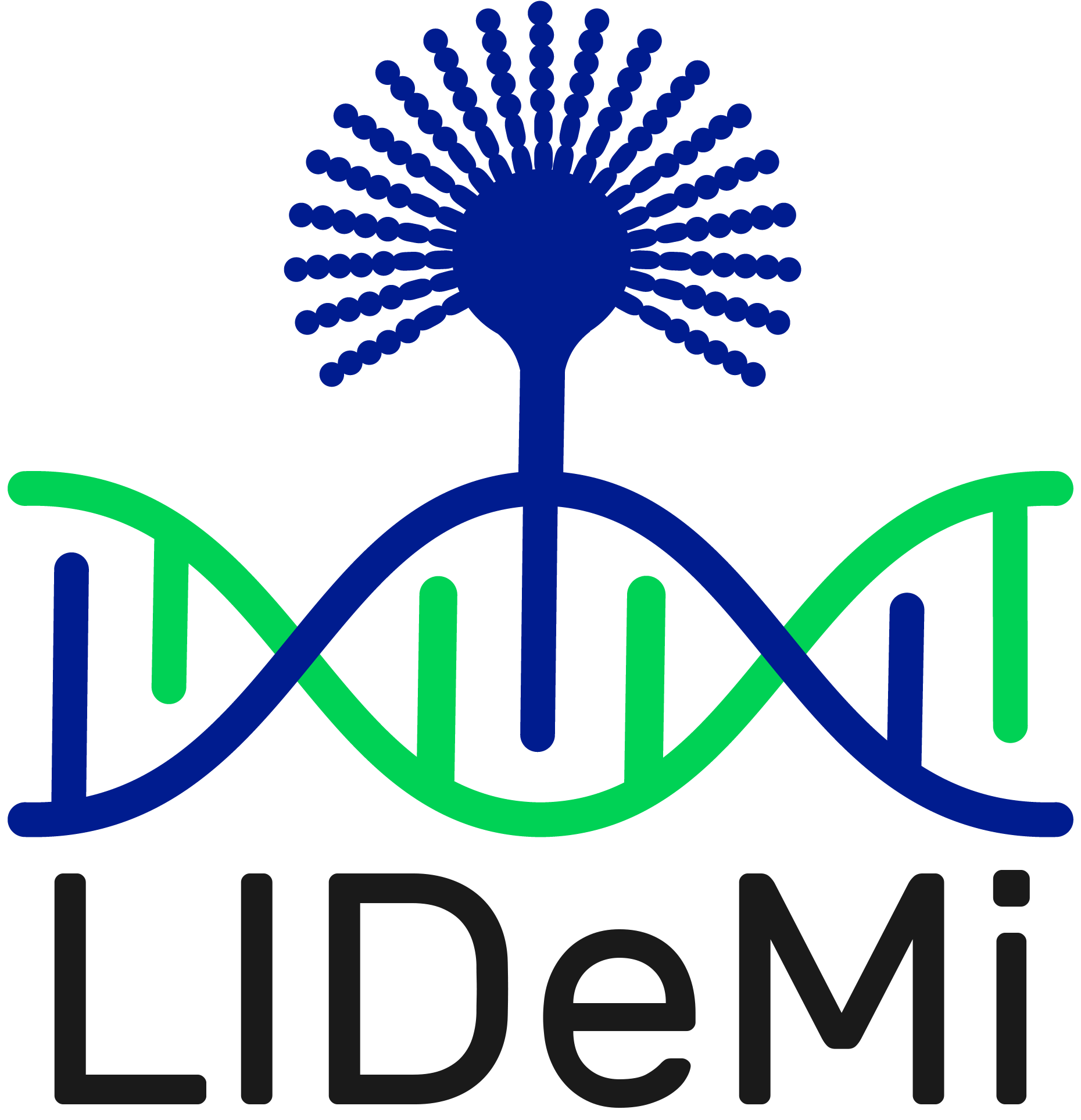 LIDEMI-Logo